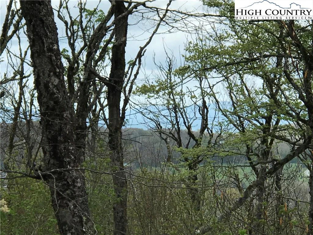 Image number 1 for the current listing