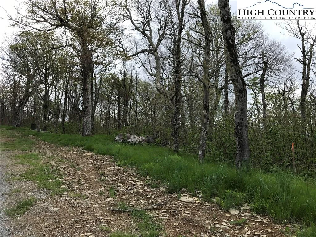 Image number 3 for the current listing