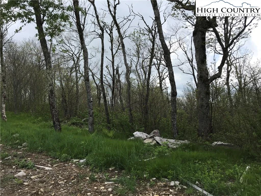 Image number 4 for the current listing