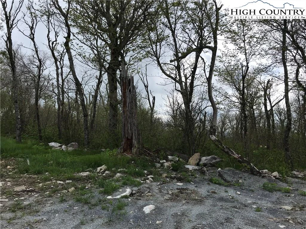 Image number 5 for the current listing