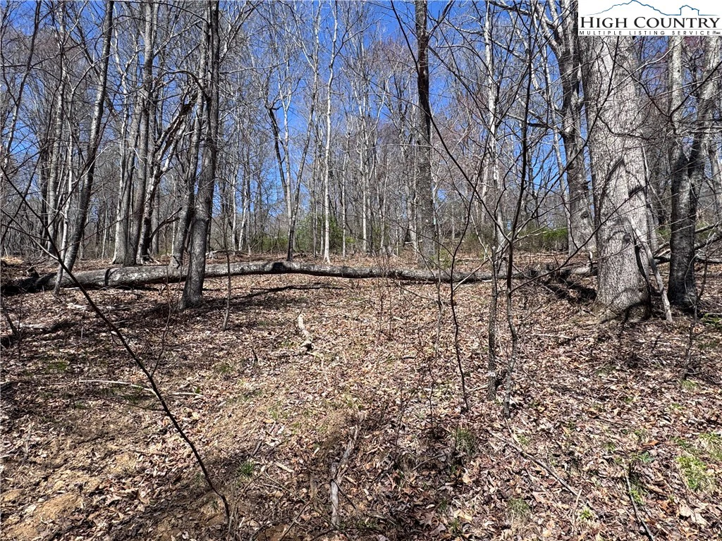 Image number 9 for the current listing