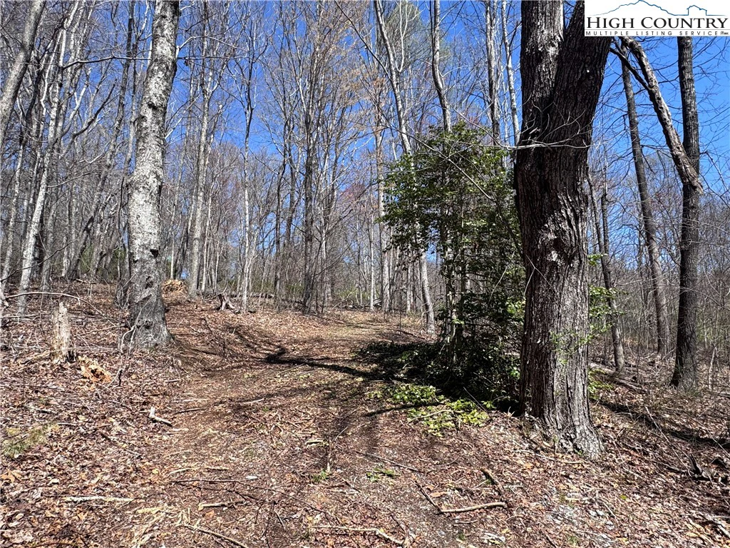 Image number 6 for the current listing