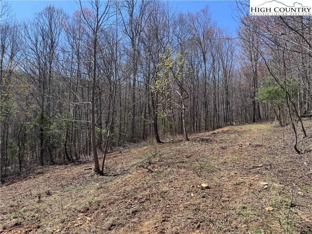 Image number 13 for the current listing