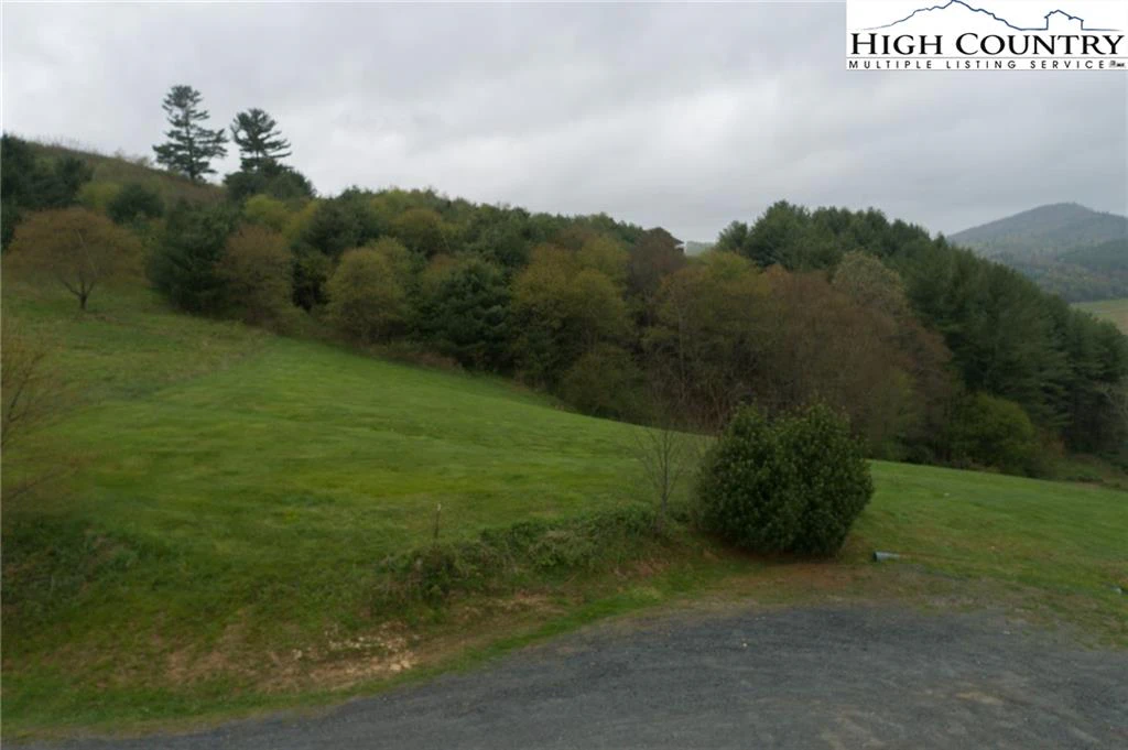 Image number 4 for the current listing