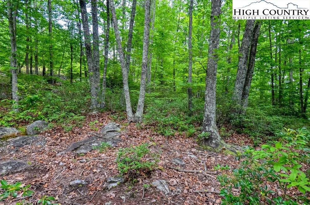 Image number 6 for the current listing