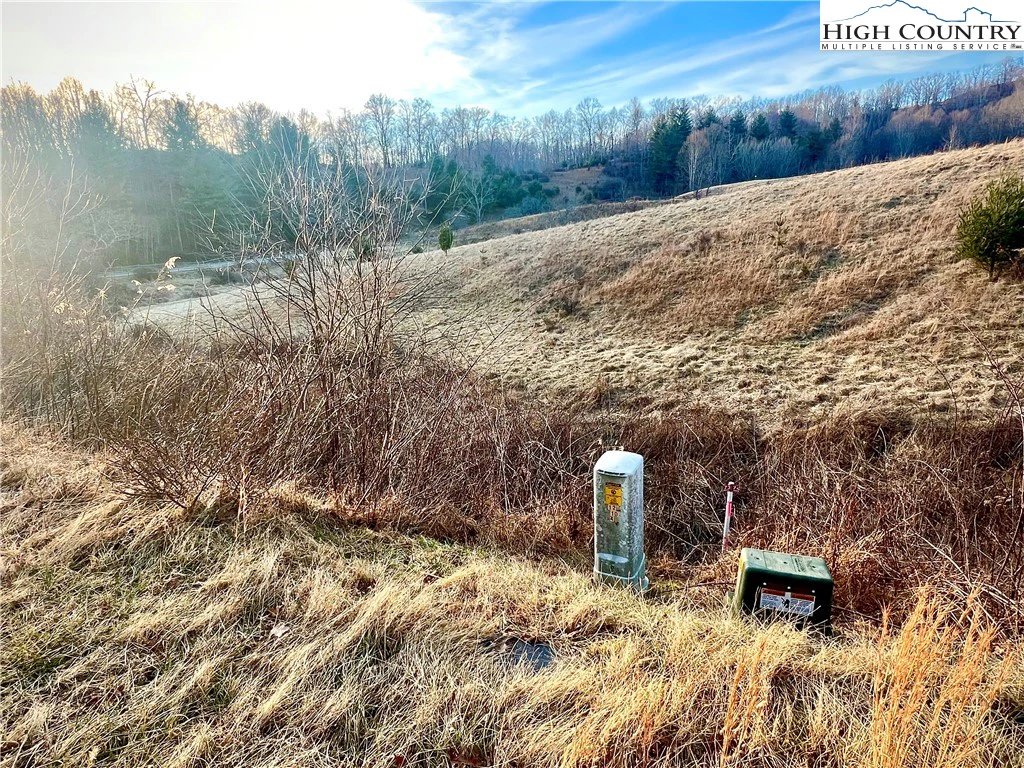 Image number 6 for the current listing