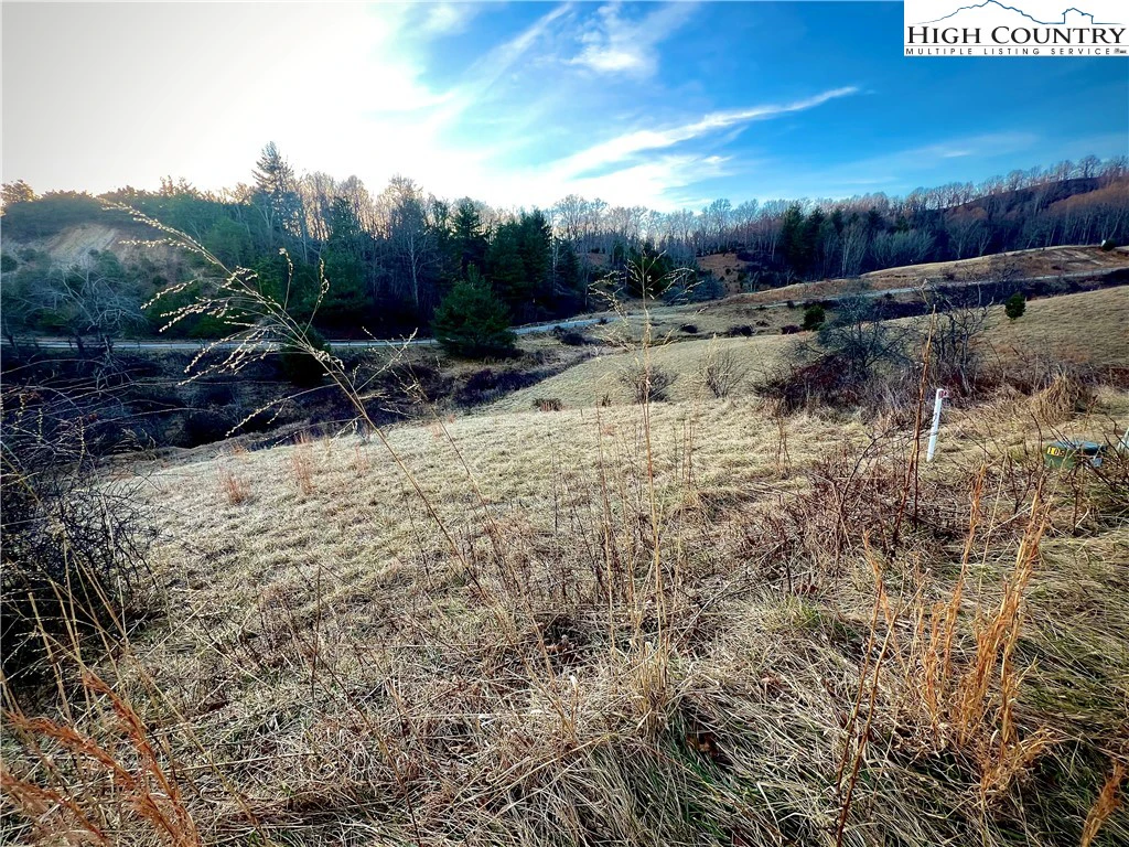 Image number 14 for the current listing