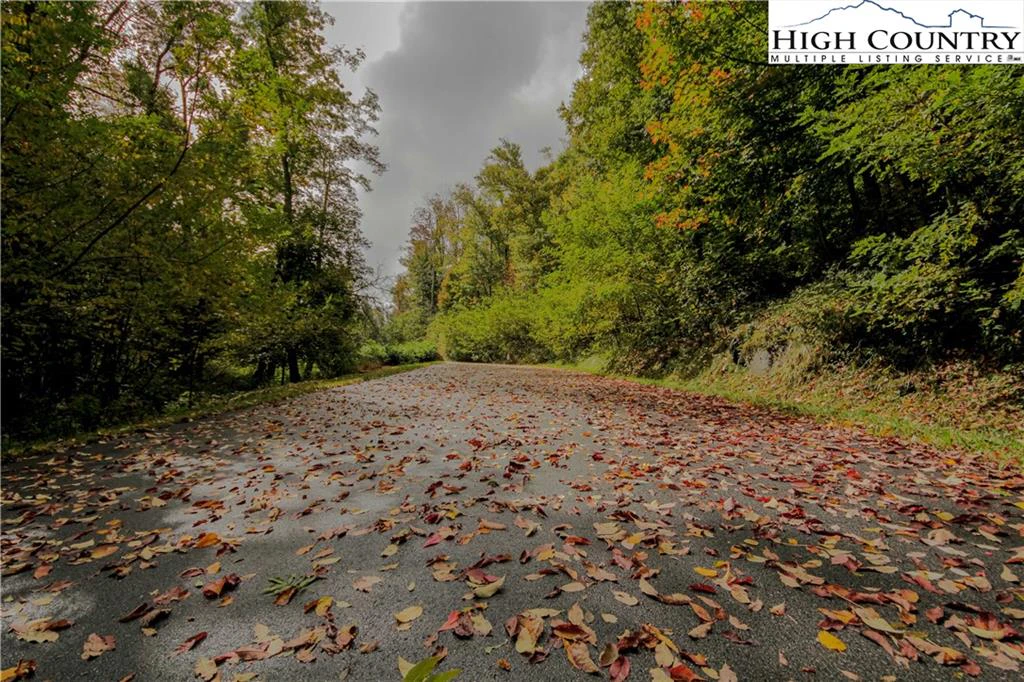 Image number 4 for the current listing