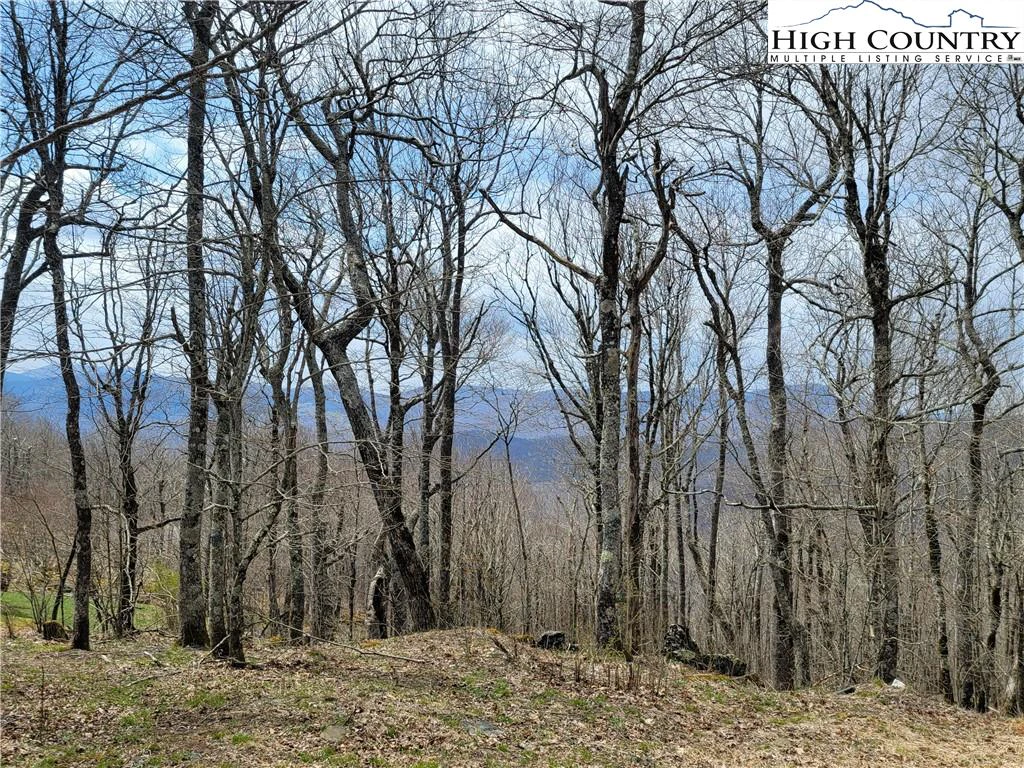 Image number 1 for the current listing
