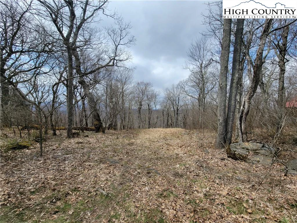 Image number 3 for the current listing