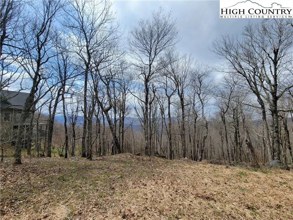 Image number 4 for the current listing