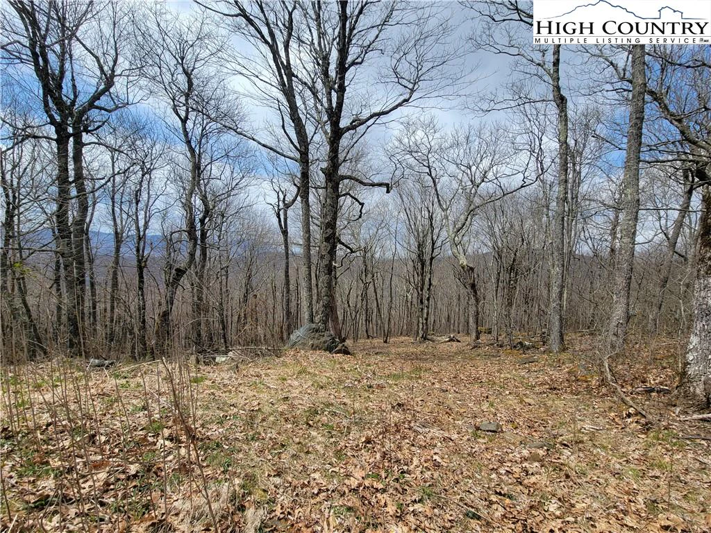 Image number 5 for the current listing