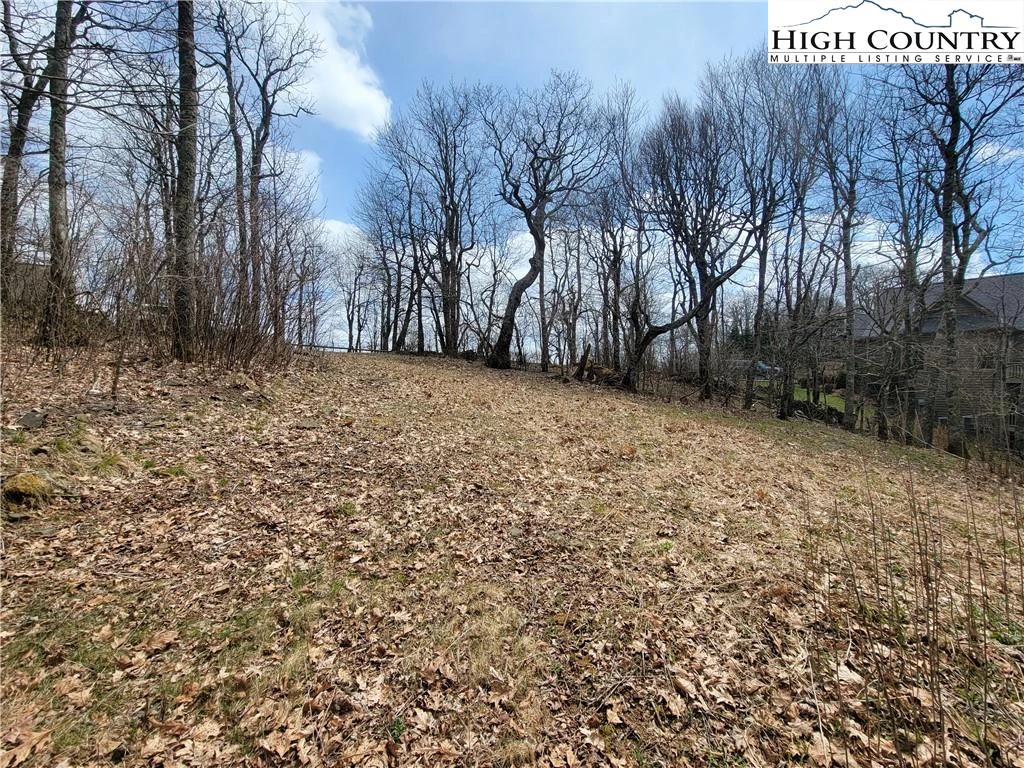 Image number 6 for the current listing
