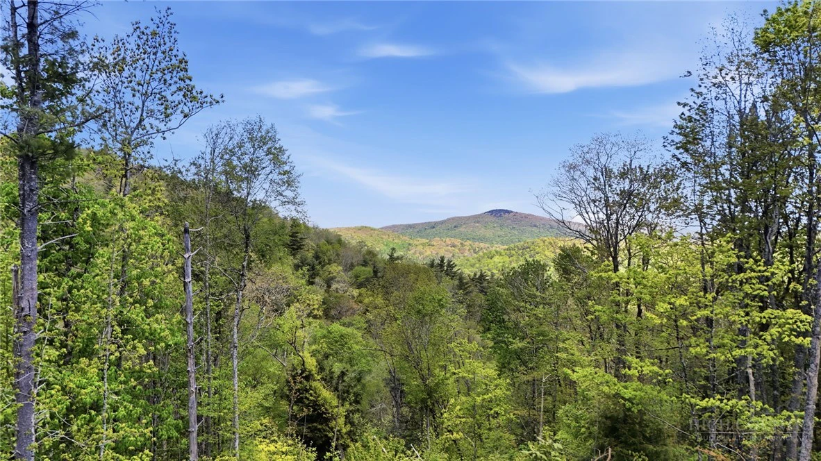 Image number 4 for the current listing