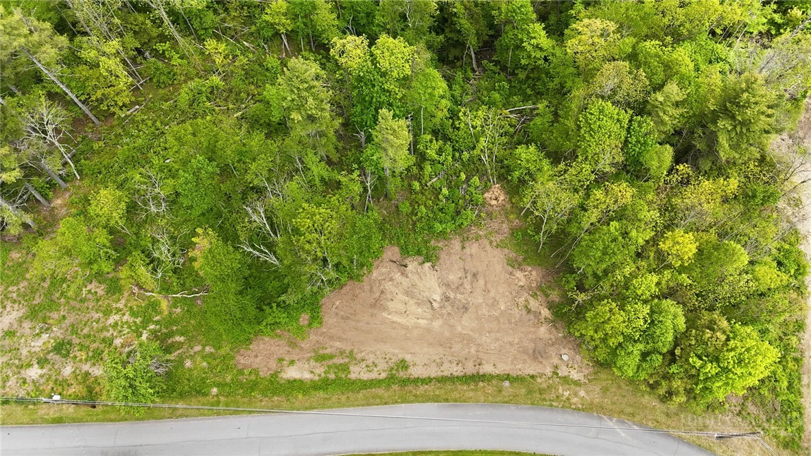 Image number 5 for the current listing
