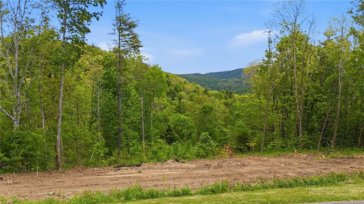 Image number 3 for the current listing
