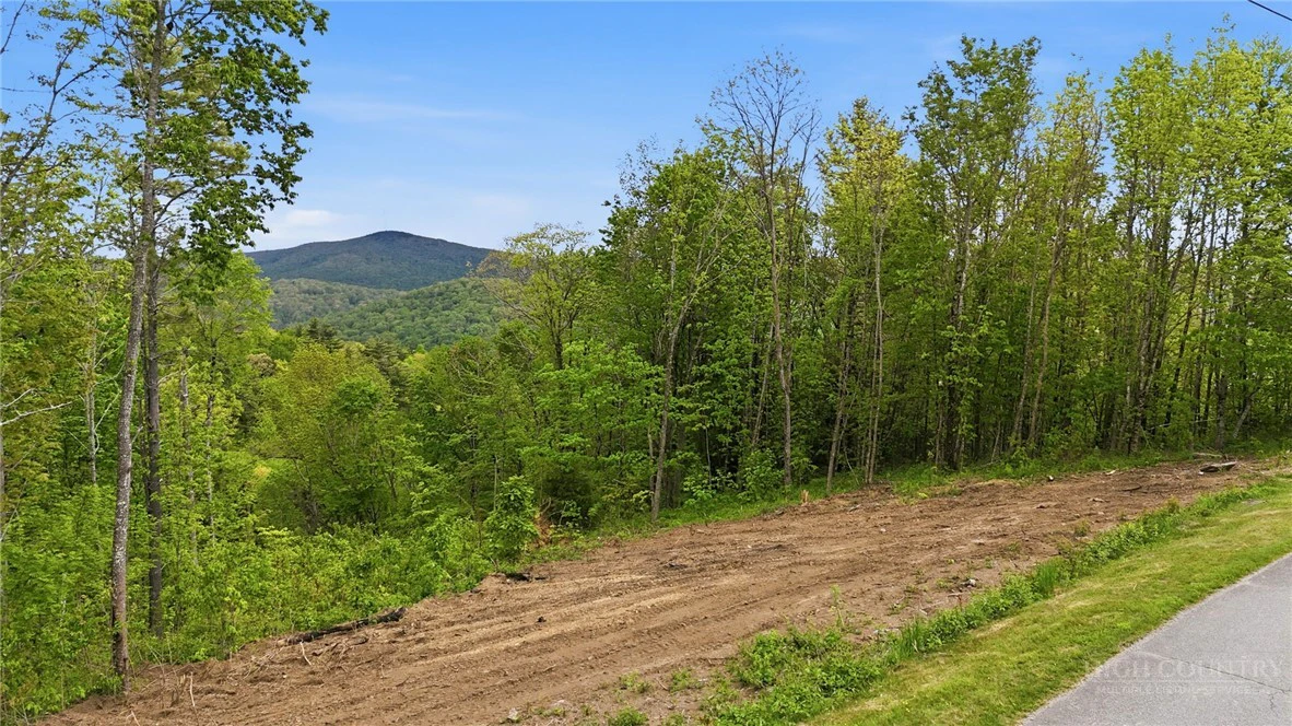 Image number 1 for the current listing