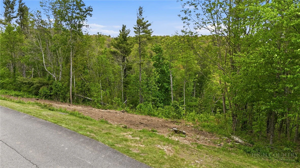 Image number 6 for the current listing