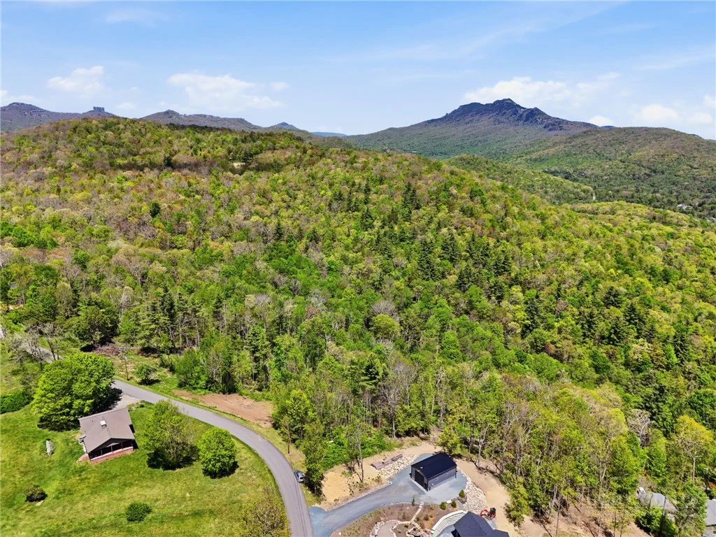 Image number 11 for the current listing