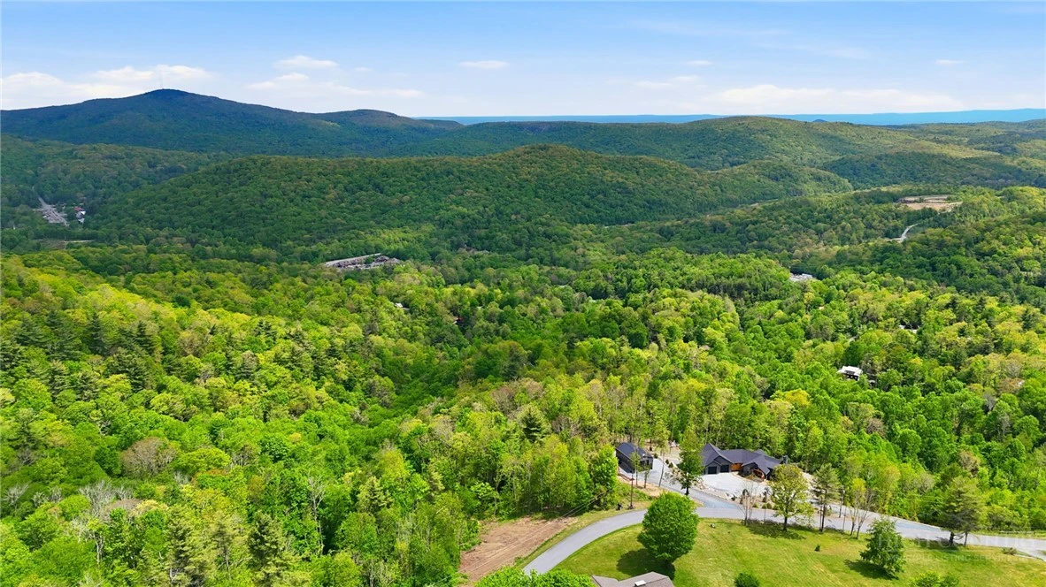 Image number 9 for the current listing