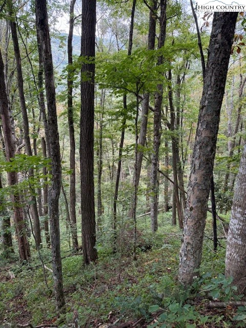Image number 3 for the current listing