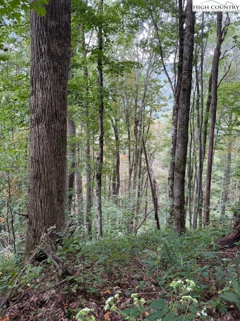 Image number 7 for the current listing