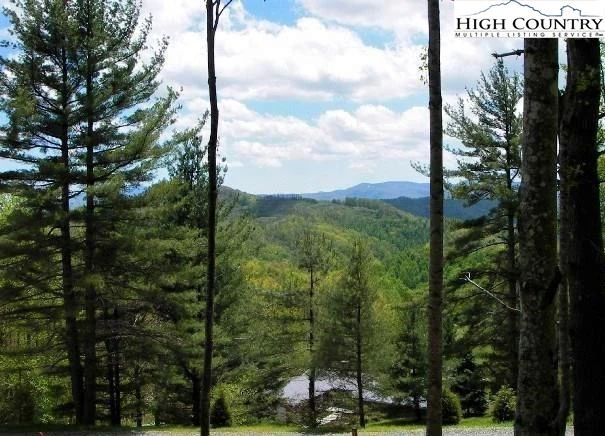 Image number 1 for the current listing