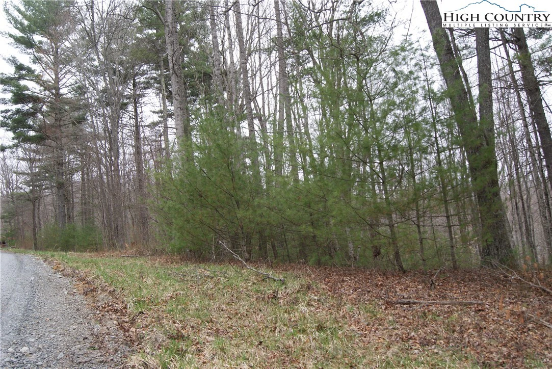 Image number 6 for the current listing