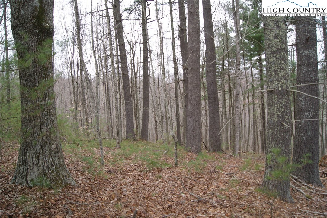 Image number 3 for the current listing