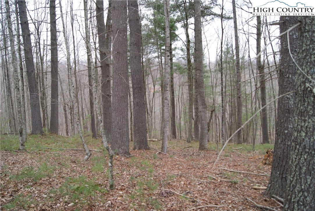 Image number 1 for the current listing