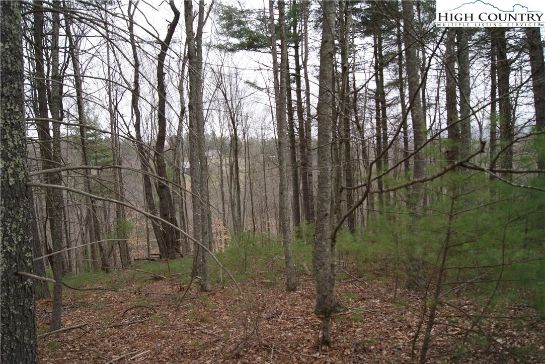 Image number 4 for the current listing