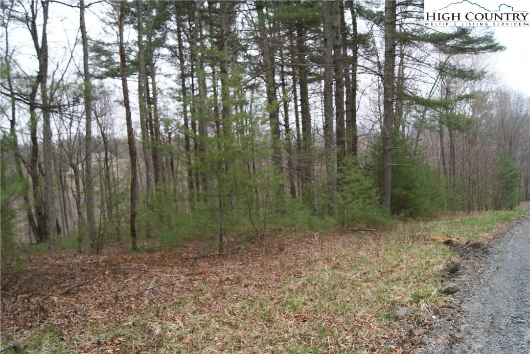 Image number 7 for the current listing
