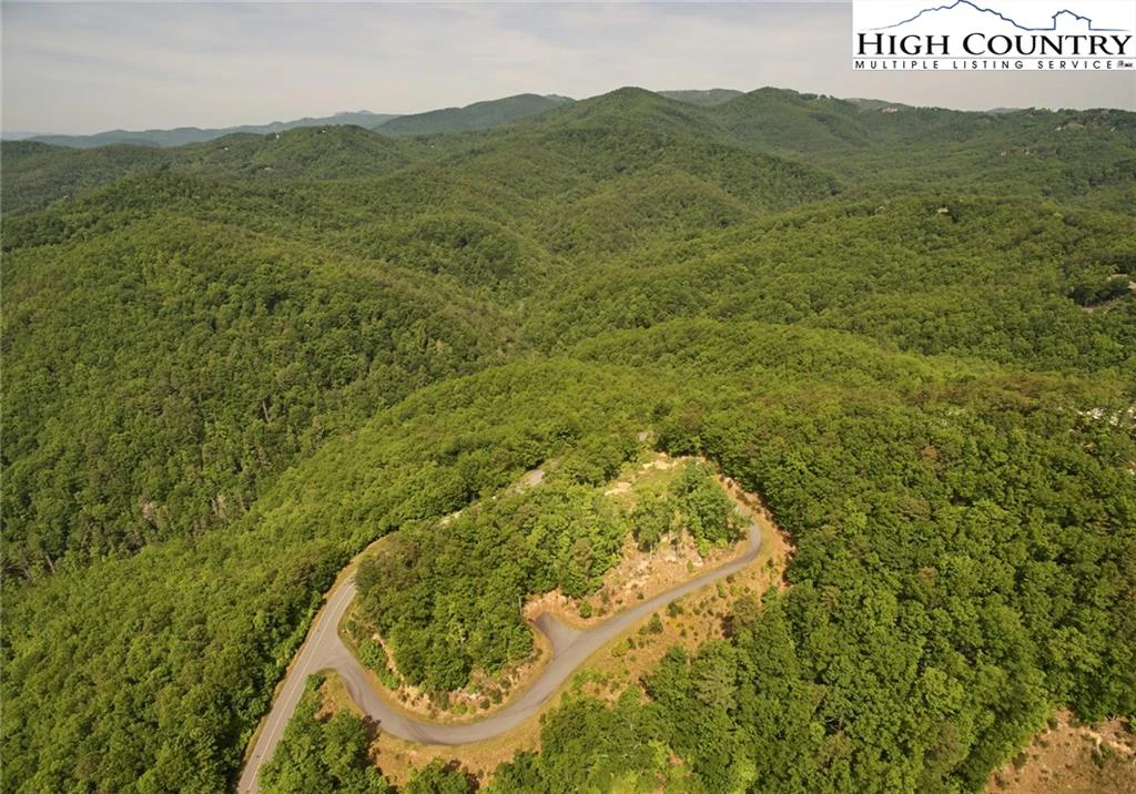 Image number 14 for the current listing