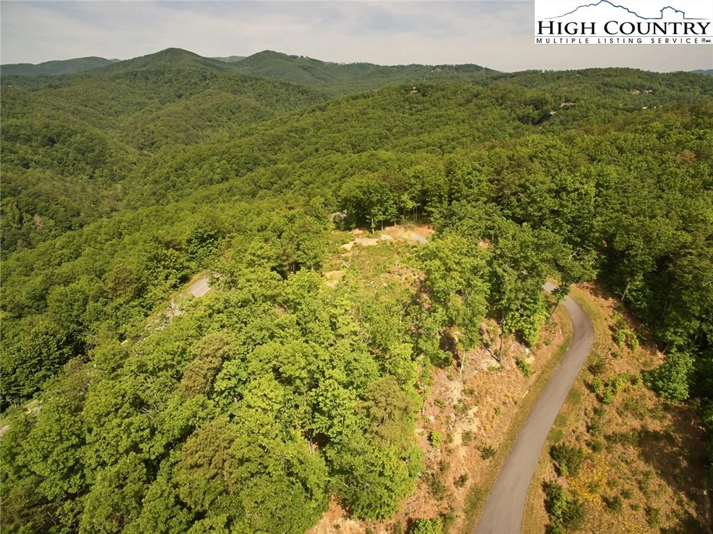 Image number 12 for the current listing