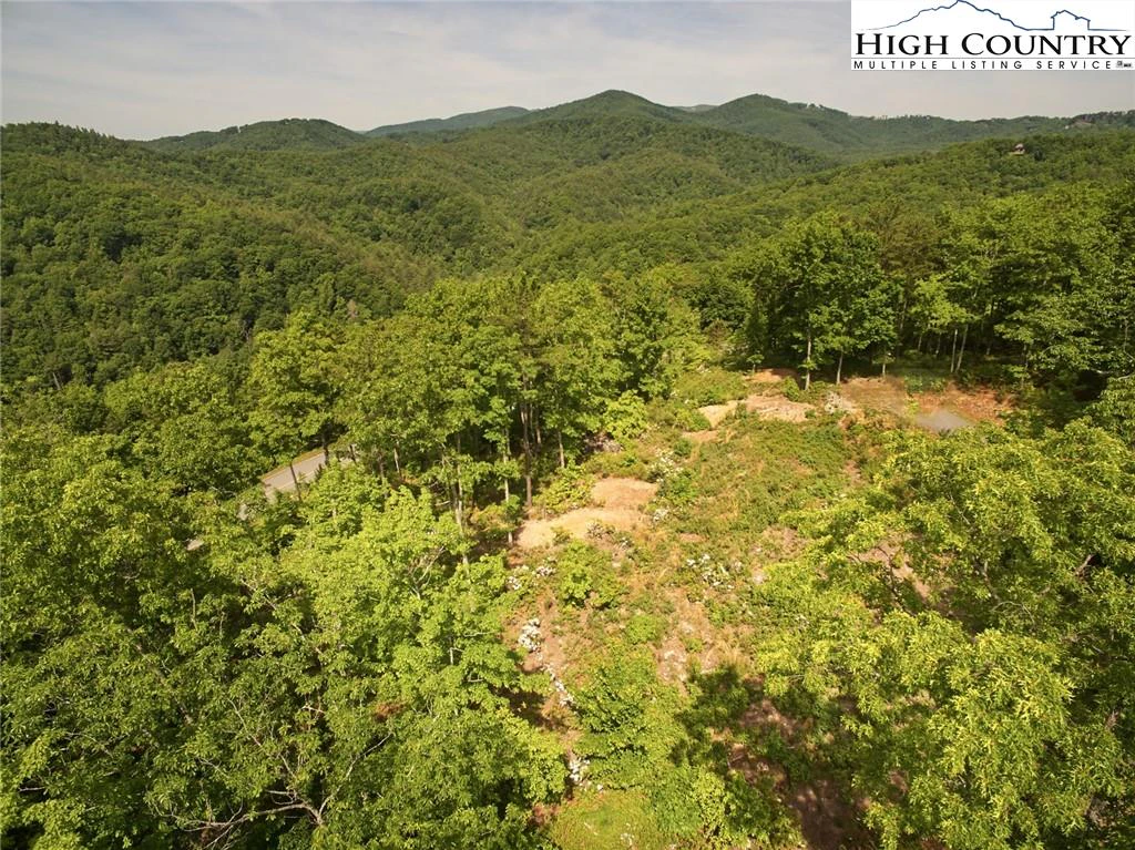 Image number 11 for the current listing