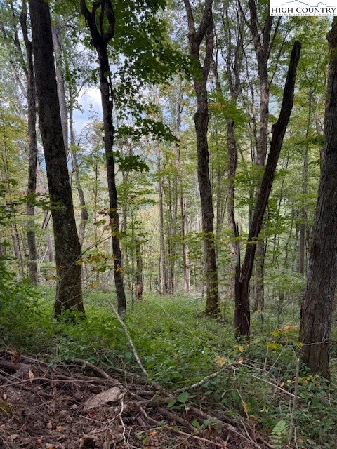 Image number 1 for the current listing