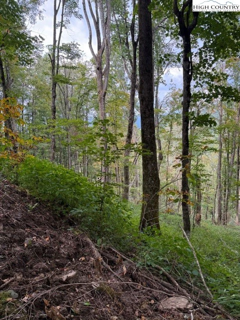 Image number 3 for the current listing