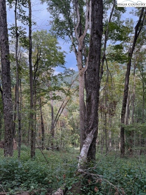 Image number 4 for the current listing