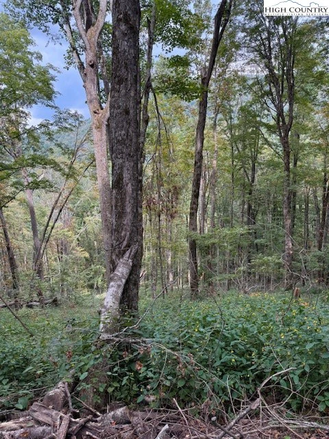 Image number 5 for the current listing