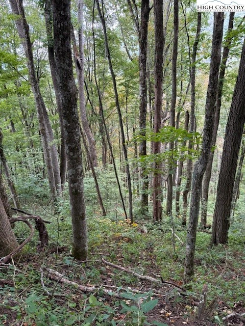 Image number 6 for the current listing
