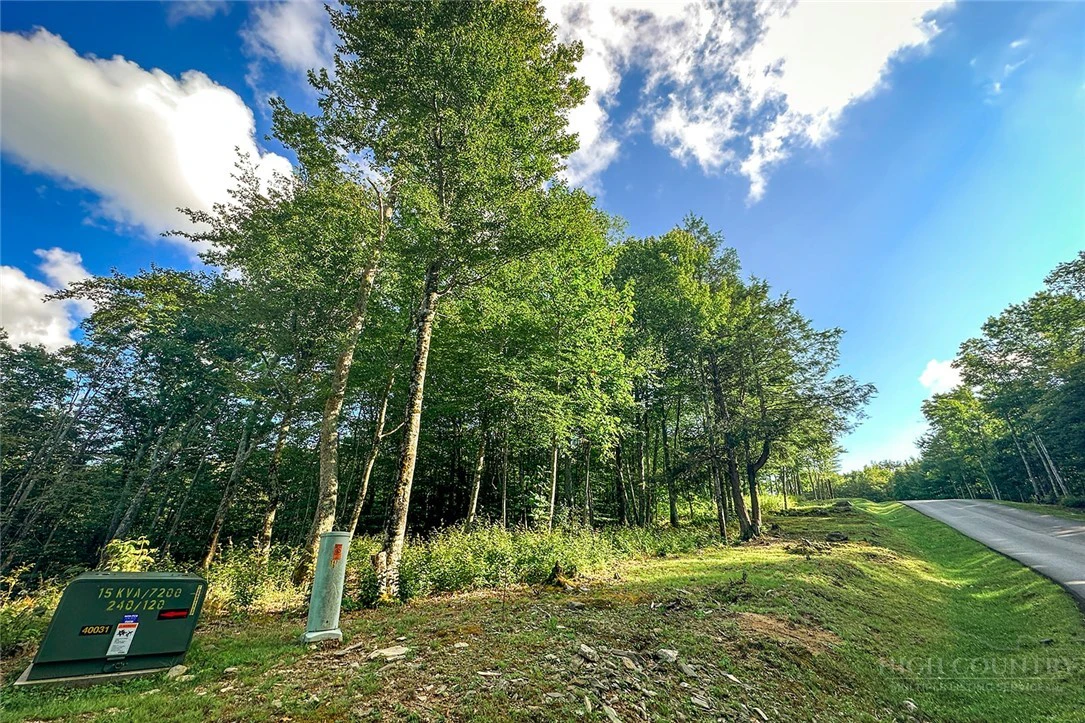 Image number 2 for the current listing