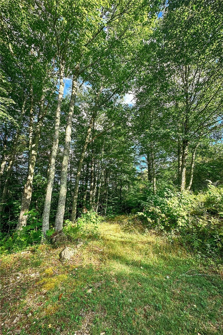 Image number 7 for the current listing