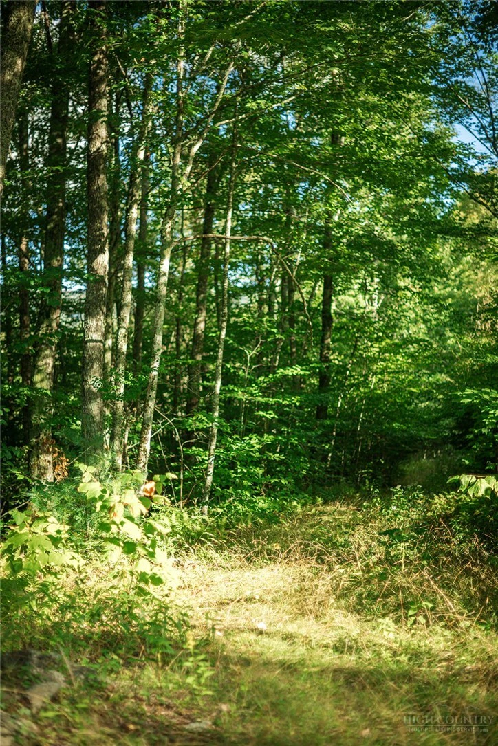 Image number 8 for the current listing