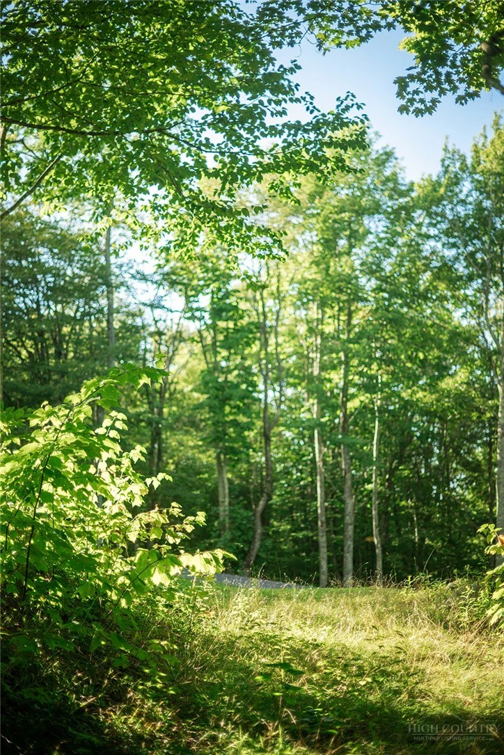 Image number 9 for the current listing