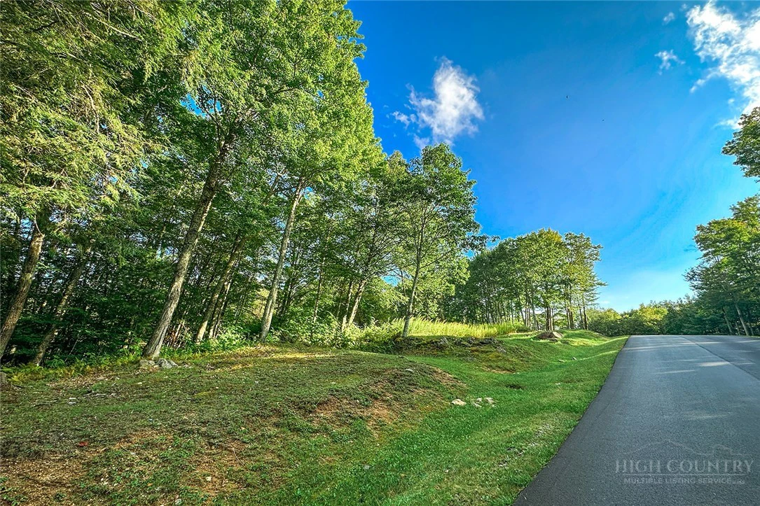 Image number 11 for the current listing