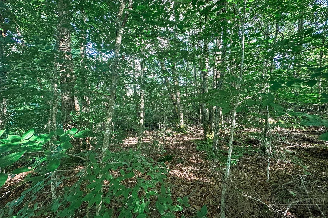 Image number 12 for the current listing