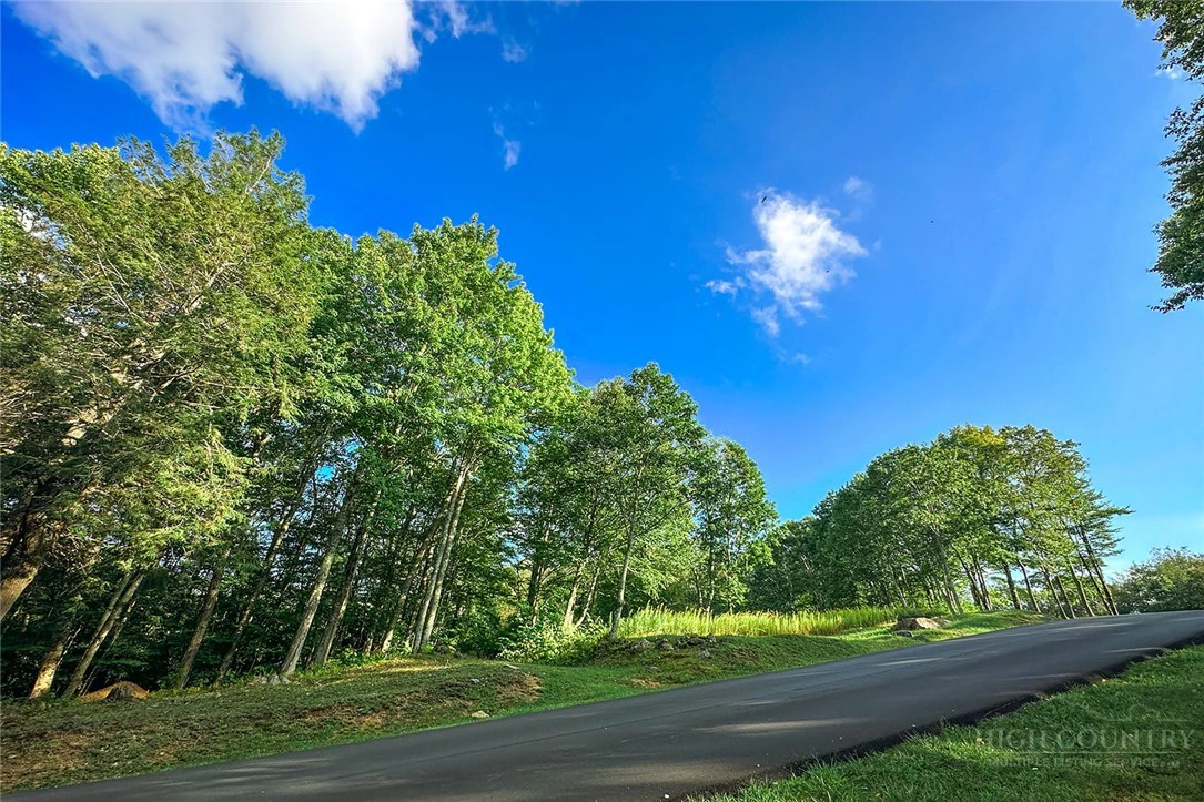 Image number 14 for the current listing