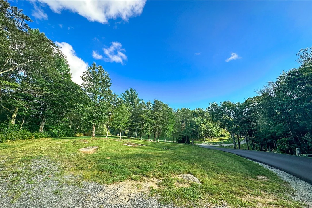 Image number 16 for the current listing