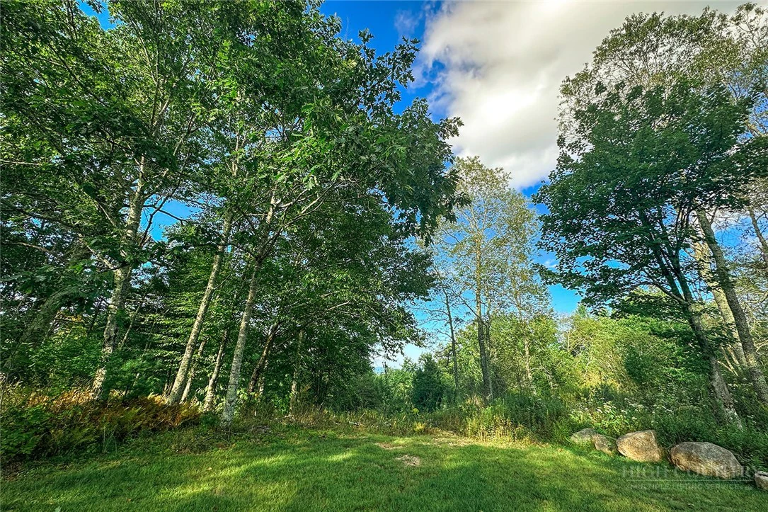 Image number 18 for the current listing