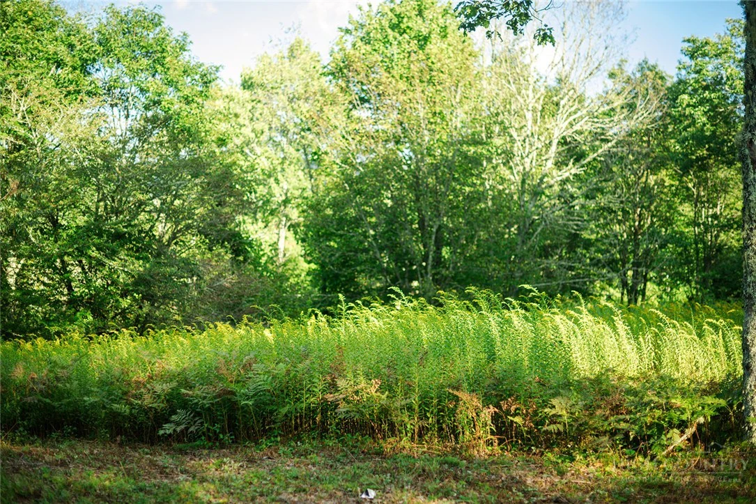 Image number 19 for the current listing